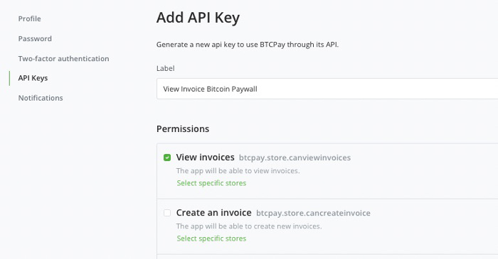 BTCPay Server Add API Key
